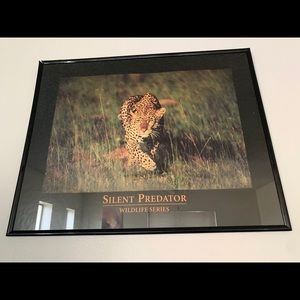 Leopard , Wildlife Series Wall Picture.
